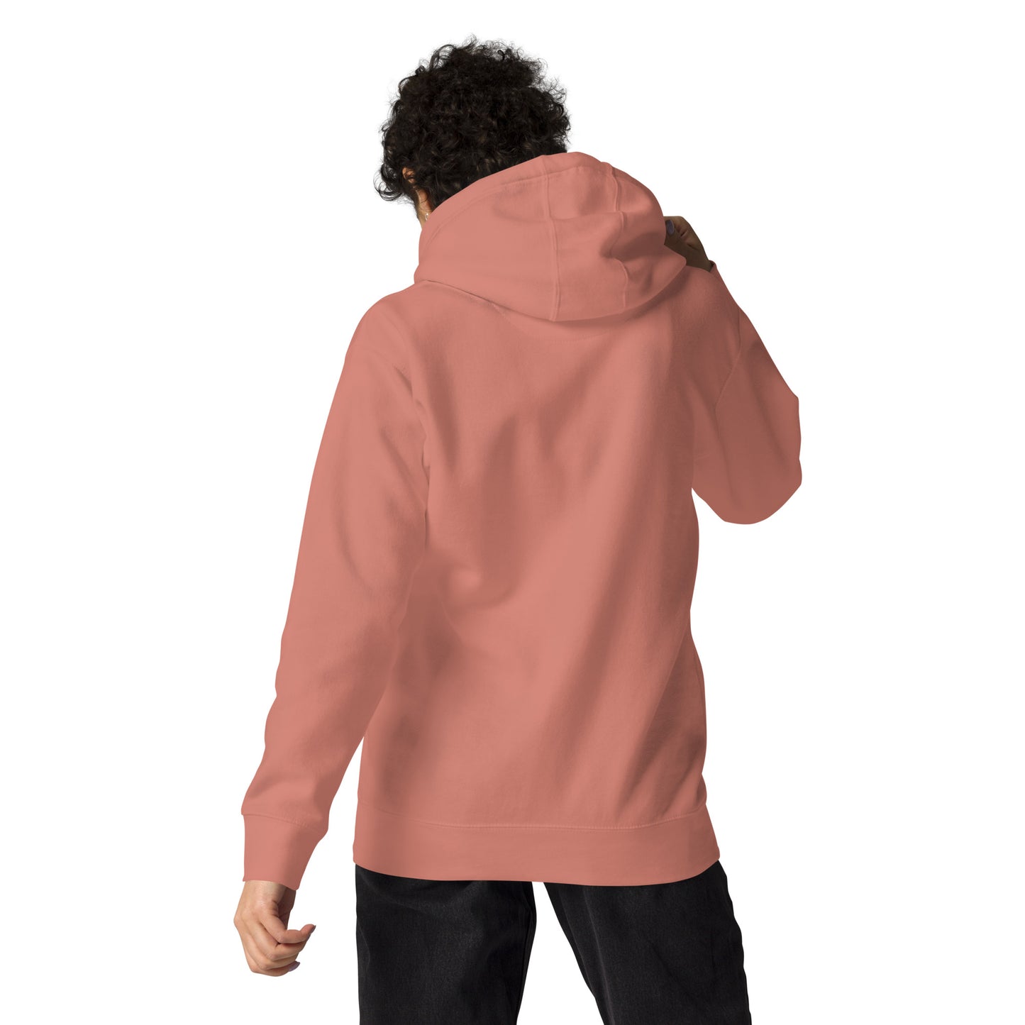 the mission district hoody