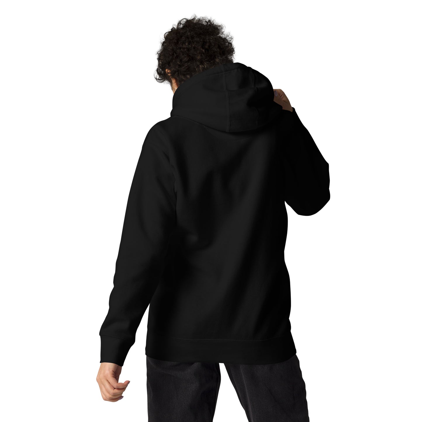 the mission district hoody