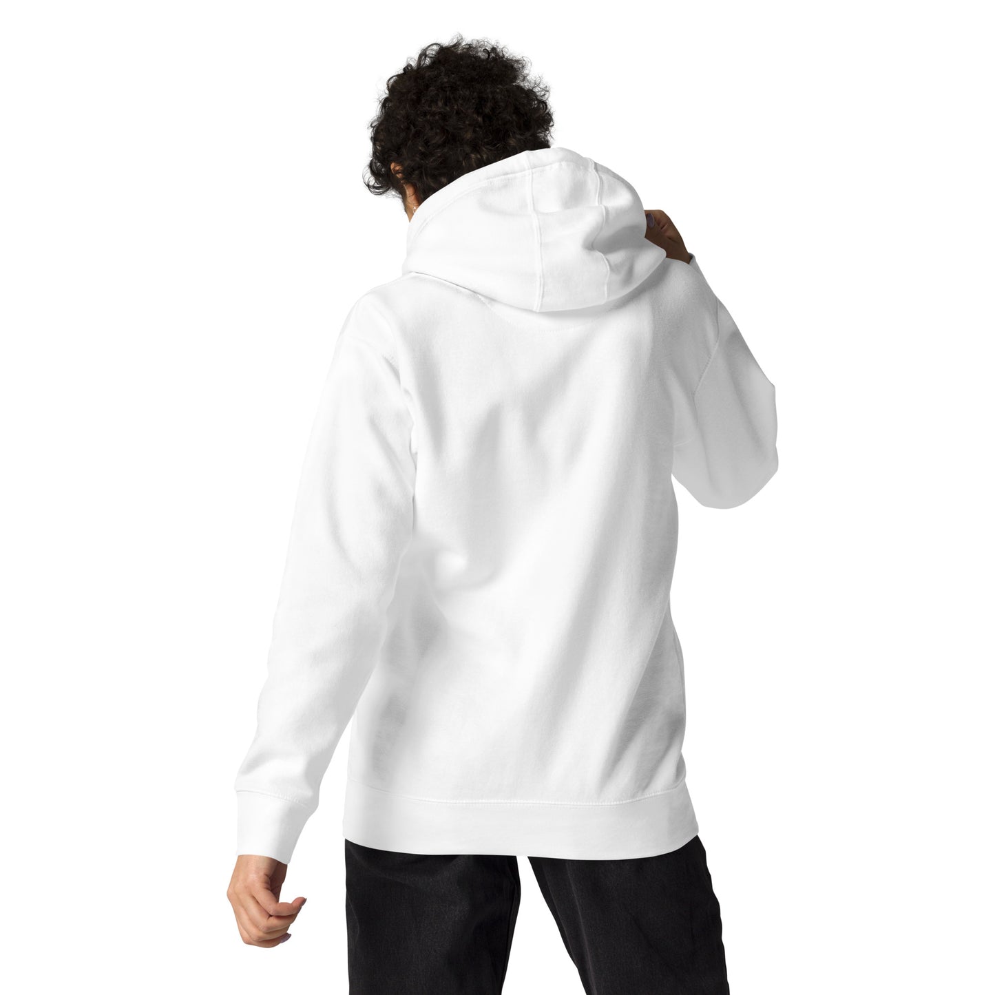 the mission district hoody